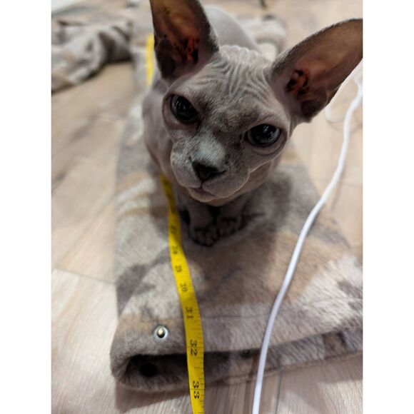 Cabela’s Wooltimate 4MOST Windshear Hunting Pants Men’s 42 Cargo Wool Blend Camo - Picture 11 of 15